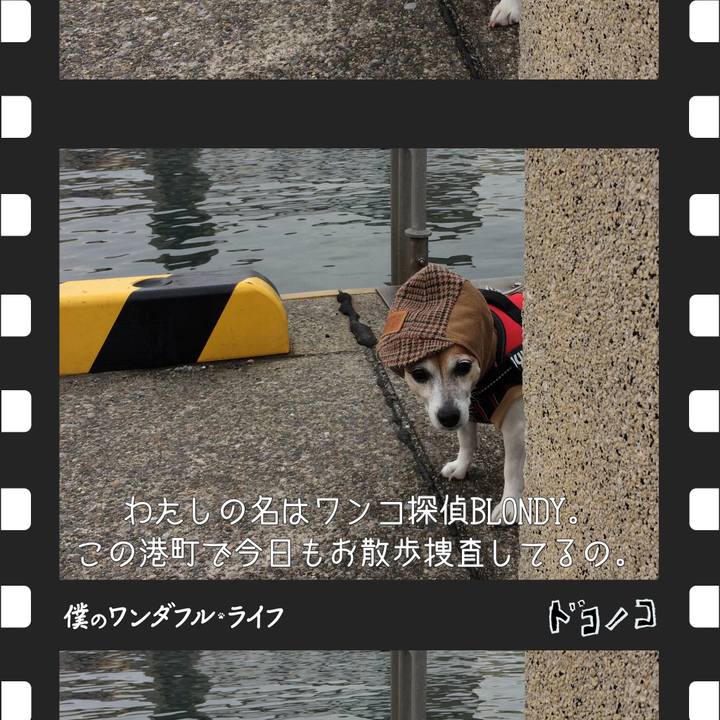 41907a46 4736 4272 93a9 37c1c9880d3f