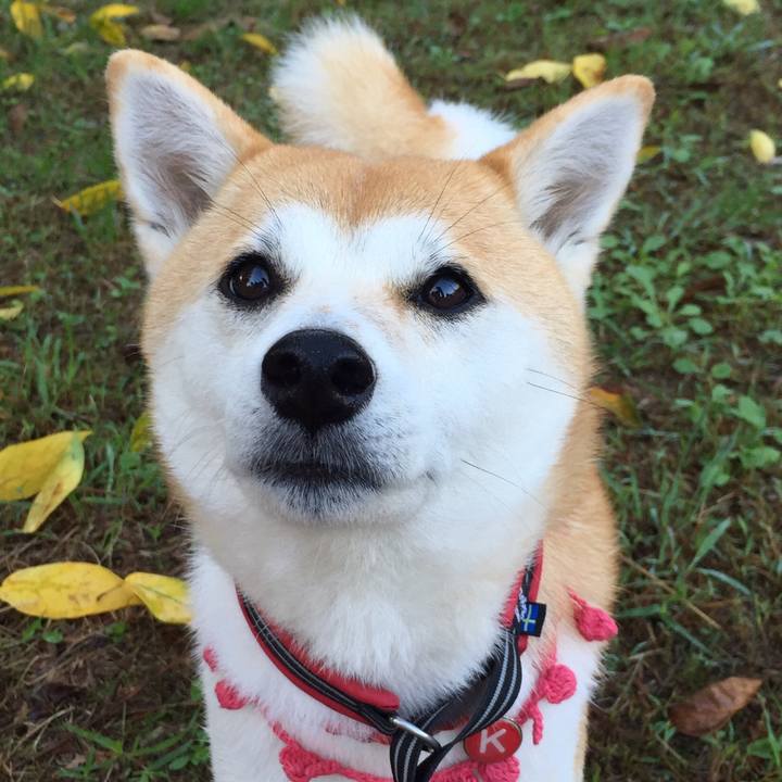 4190beda 2a70 4e70 81d4 9fa80665264e