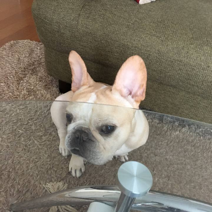 4190e8fd fc4c 42f4 8bf9 4b38e20921e8