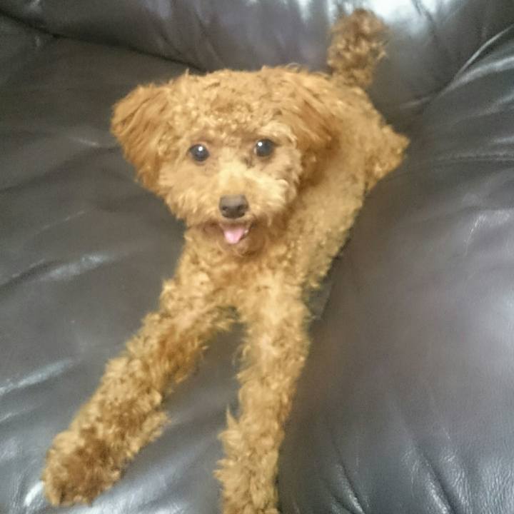 419163a7 8580 44b6 8066 54ecc0ba5908