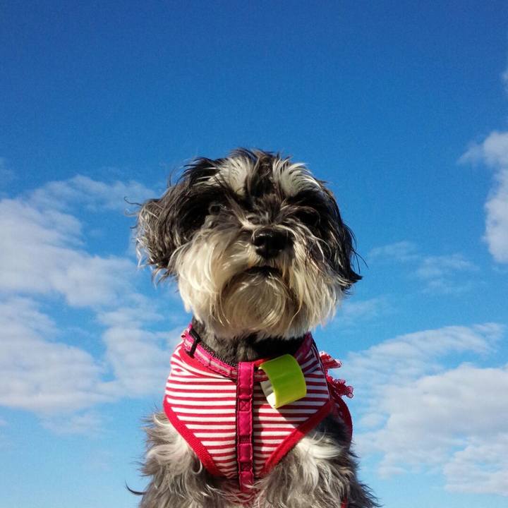 41916e75 8df4 4895 a2dc 9180148dd70a