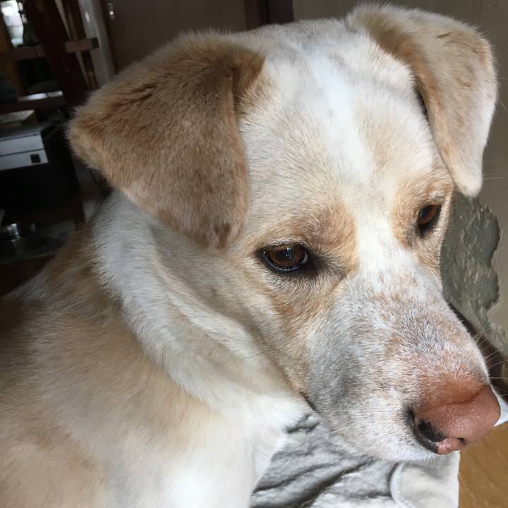 41920788 67c2 47fe 80e5 0d5fedaa7317