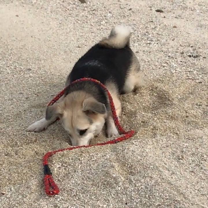 419212f9 5e7d 458d a170 3514d1e4ec31