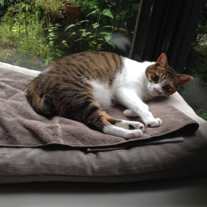 4192387f cd6b 425b a157 3c2b9a5ad887