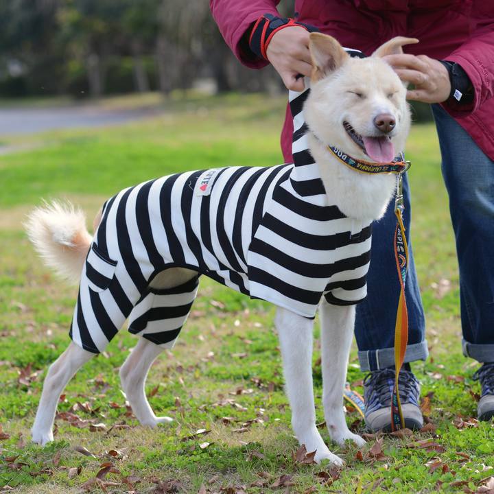 41925ebd cc6a 4dbd 8f62 edd1e27c4454