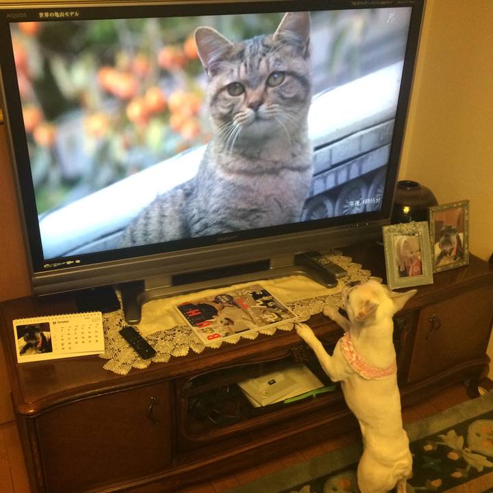 41927a60 10de 478c 867e 8725d24e9c0b