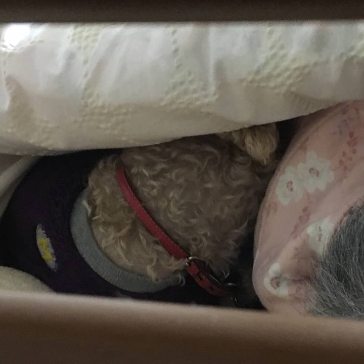 41930f14 c7ab 4971 9176 60c67a06ab45