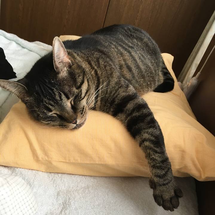 41936c2e 4442 443c baf1 8fa90691de5d