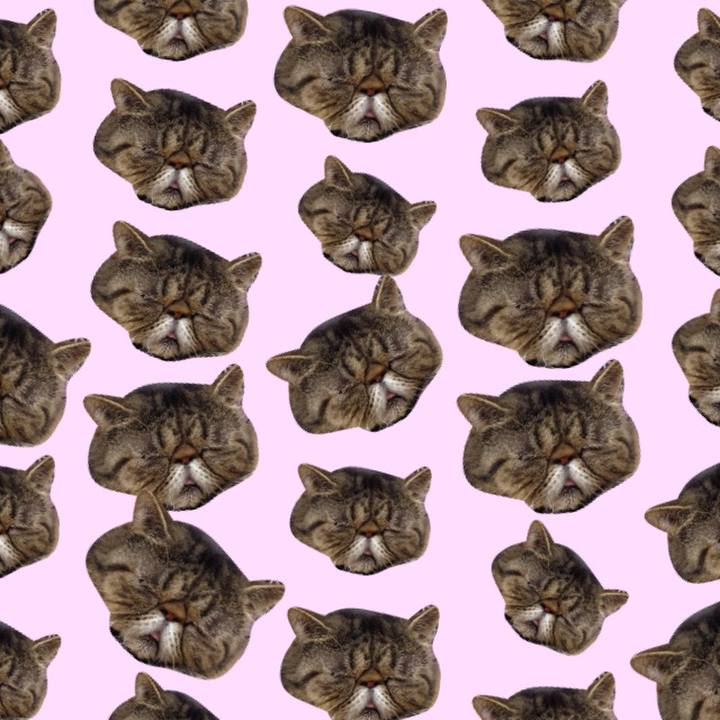 4193b4e3 6d32 4dc7 840f b492bc26524d