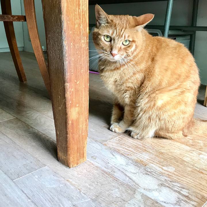 419424ef 5836 4eb4 9125 4a6fee4dd4fa