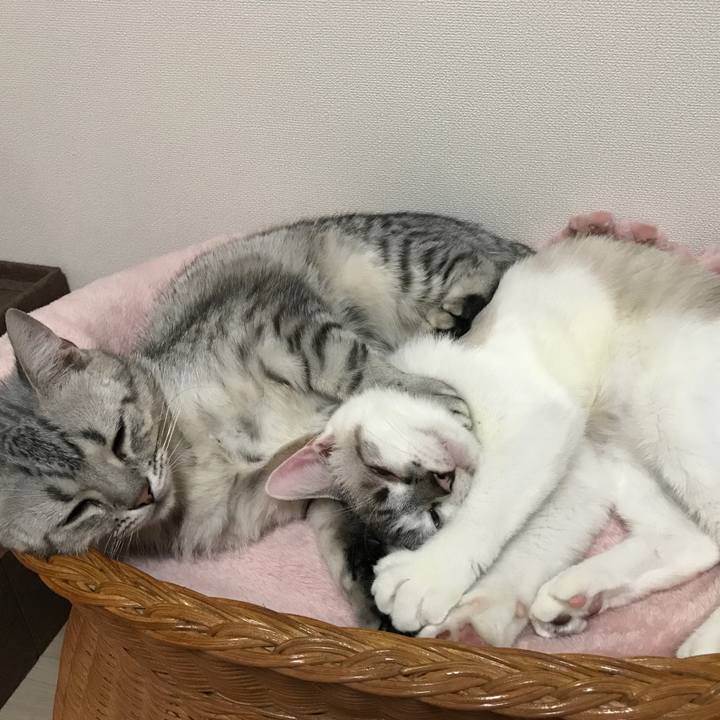 419455d3 ac94 4056 968a 63daa2dc5cca