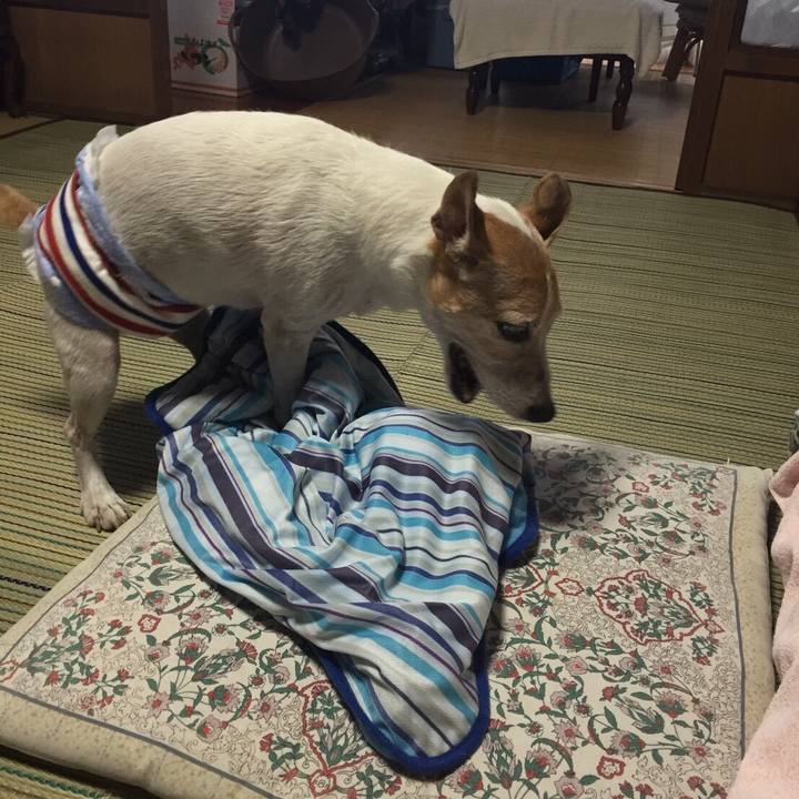 419509b4 c56c 490f 9bf8 1605d276e0de