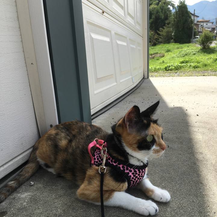 41956940 4dcd 4924 a870 4f972f70441f