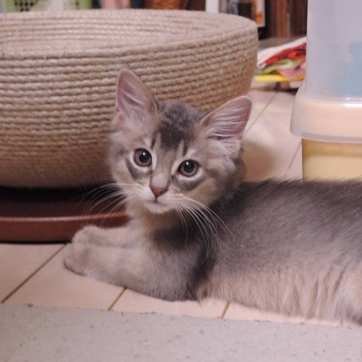 41956b15 68d1 4f97 9d79 53afe31d0d46