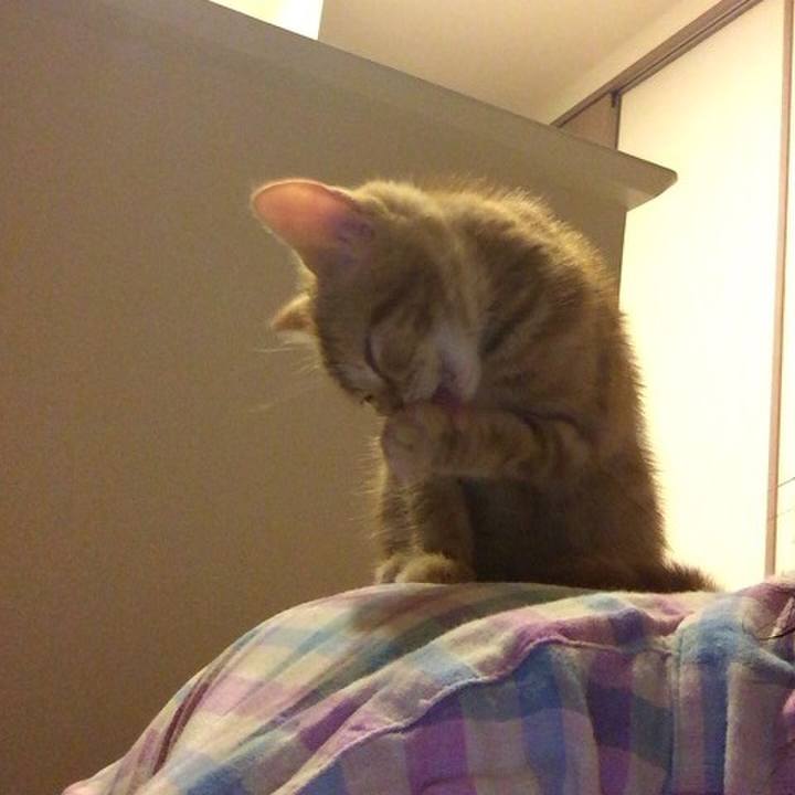 4195f082 c4e9 4185 bc41 78b068381364