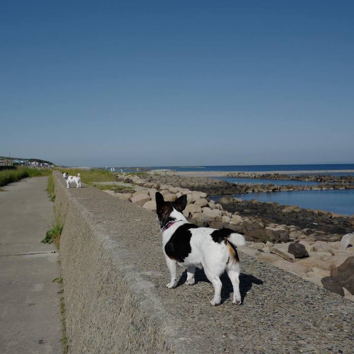 41962c14 f3b9 4811 9b48 85dbfdfc1375