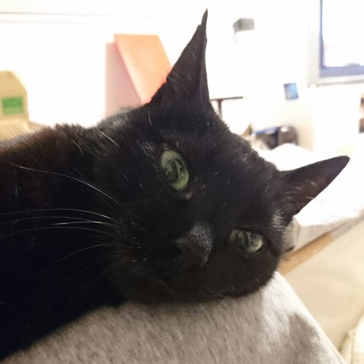 4196cb02 2f29 4ab5 8cd3 0cb956f60e13