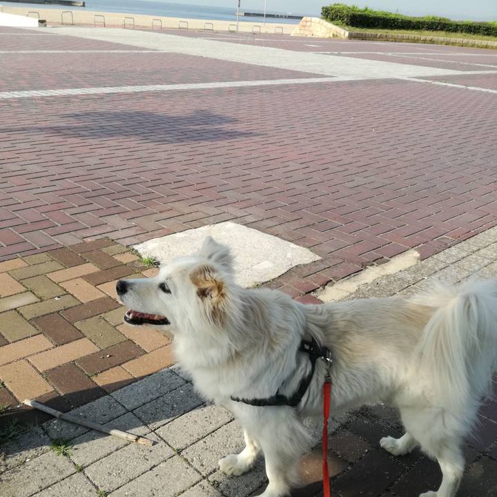 4196f340 2eef 4b91 88a4 64b3c0ca7e17