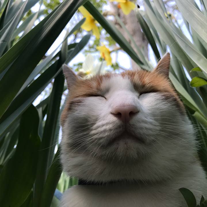 41976f3b e9cb 4bc3 92ac 900a1f0e69b8