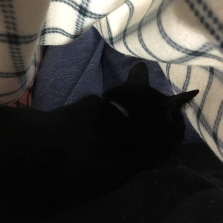 4197c7da 6d35 454f b1a2 610e8a909d3e