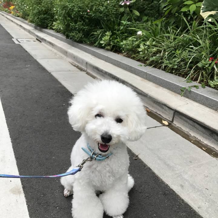 4198484f 3ed4 4236 92df 2a4300d78852