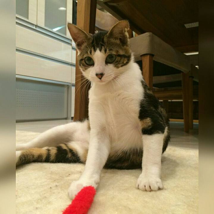 41988b84 8ace 4fbd 9909 e9307d6eb61f