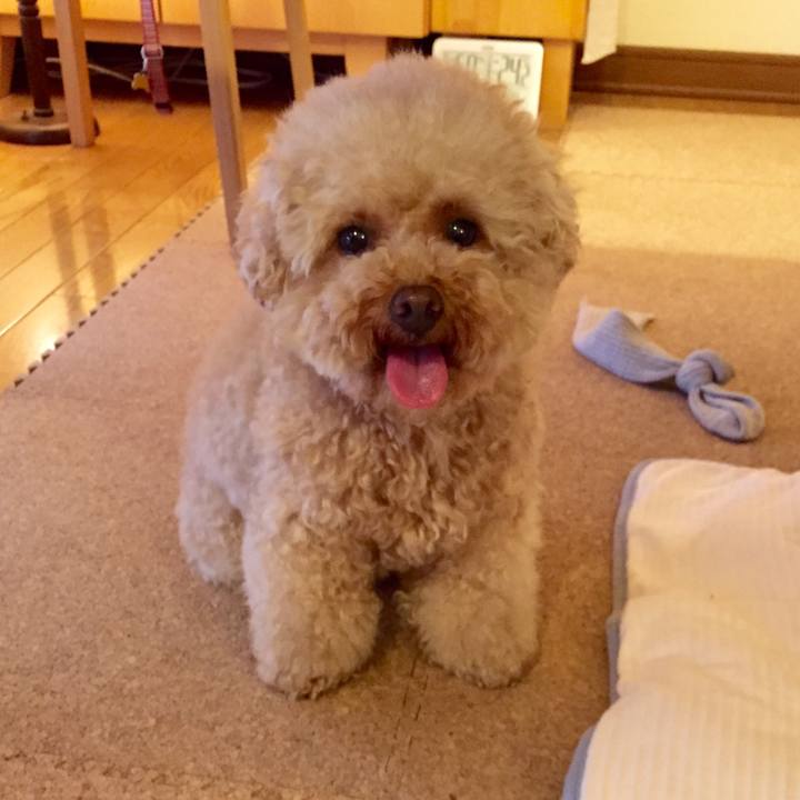 4198fd92 ad3f 407f a87f a1c0d4035861