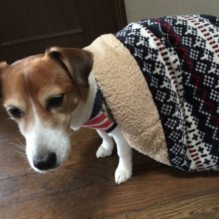 4199e3ea 7918 491e a5ea 3101a588aab0