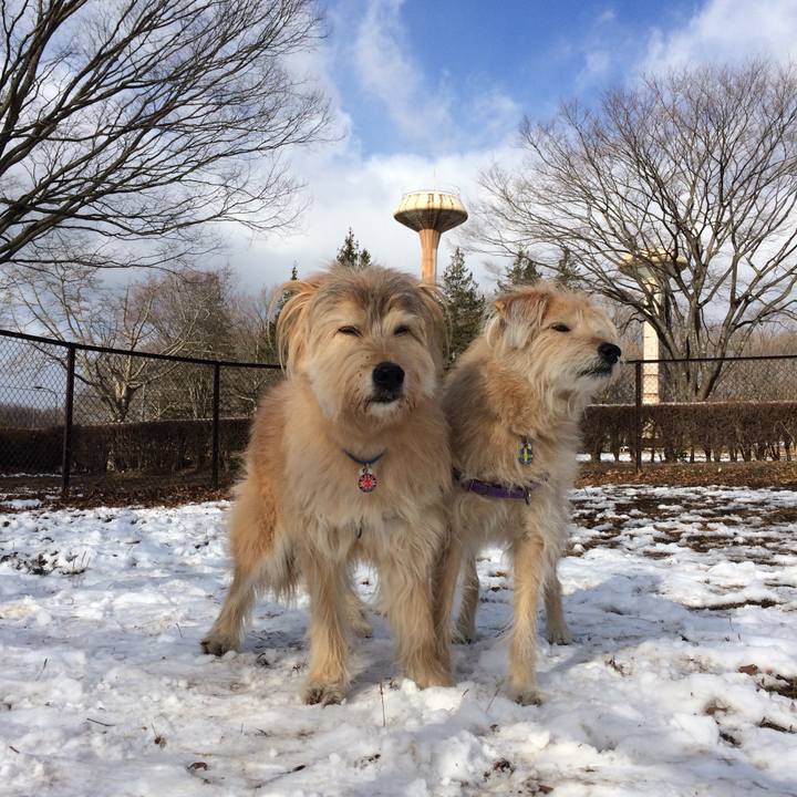 419a37c8 0cdf 4bb9 b220 2a52efbbaa0c