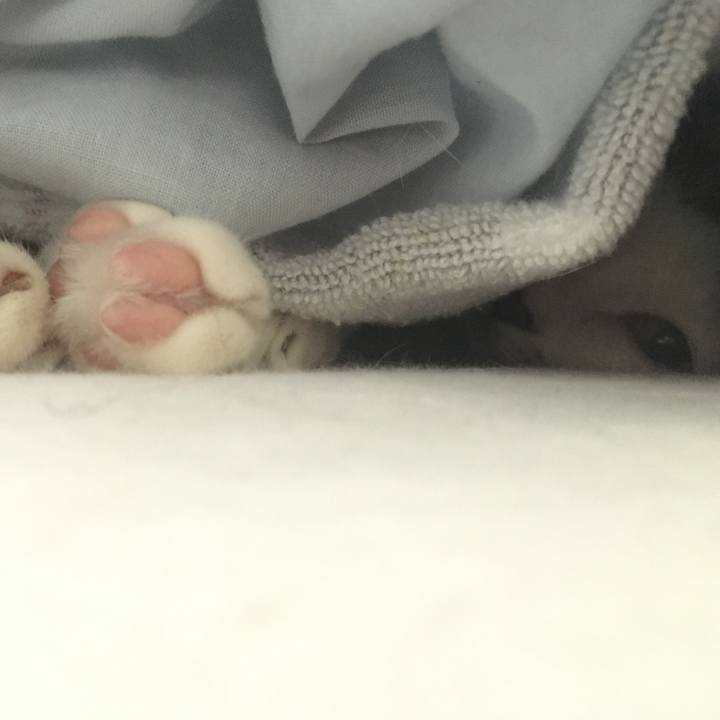 419ab72b f7ea 4d2b 8bed 27ca6b61f887