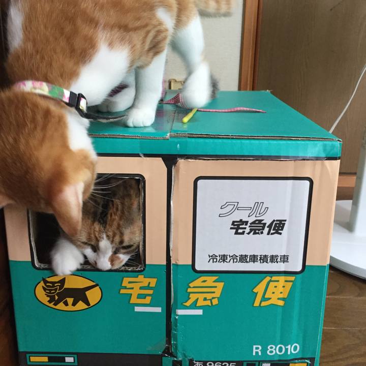 419b68cc 03cb 4da4 aa25 ce5fd9c6d776