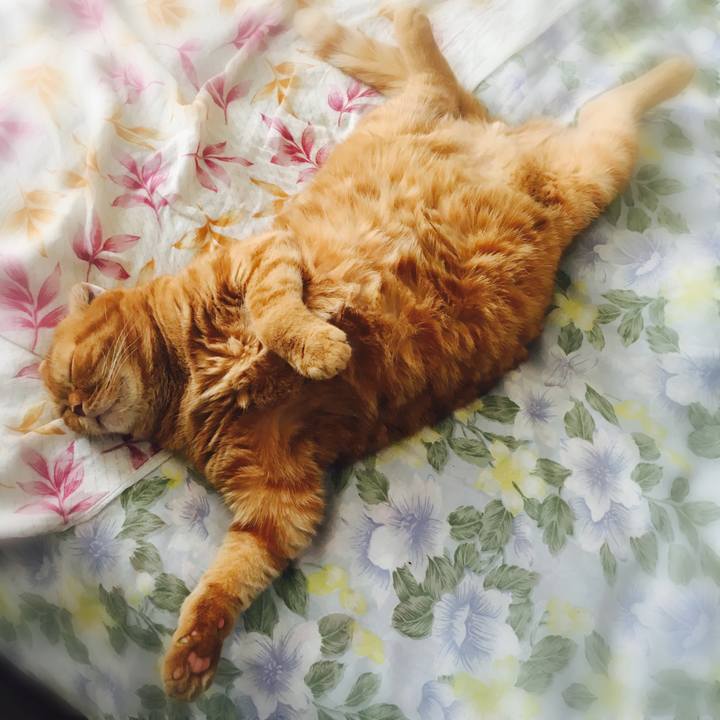 419ba8e1 472f 4725 83fa e9eb08402c51