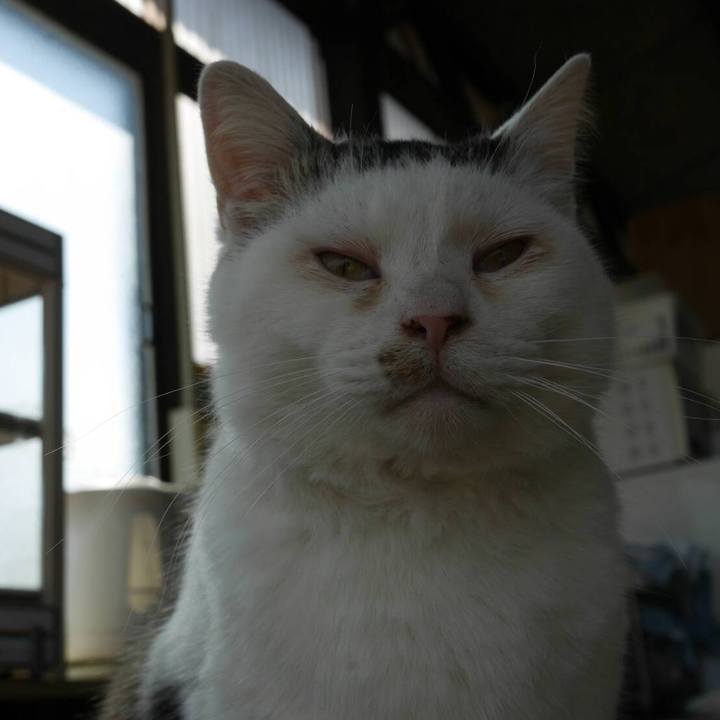 419be002 8ae5 43c5 aede 0cc0cfafd651