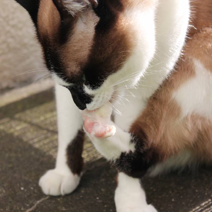 419c1e60 2c2c 4763 a937 fc6e7c017cce