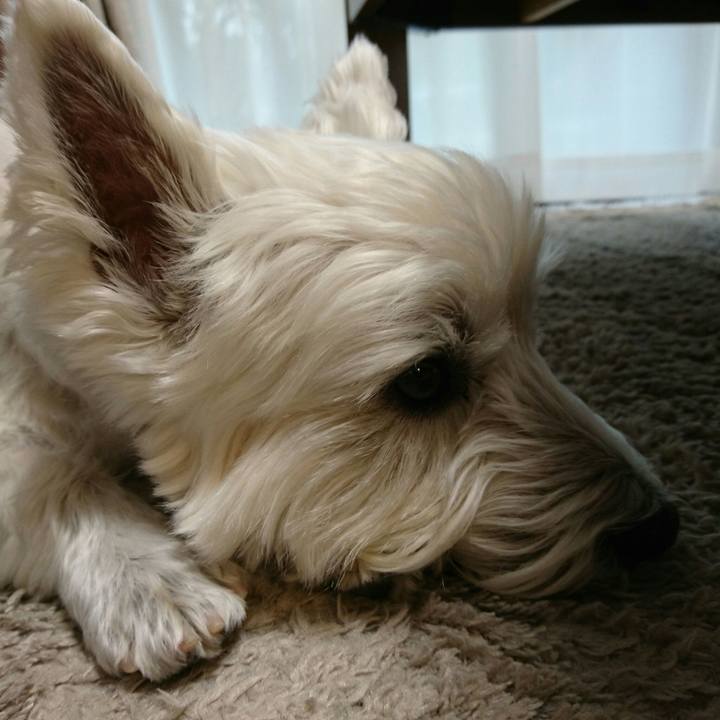 419c2378 6e81 4599 add5 274bb57914f8