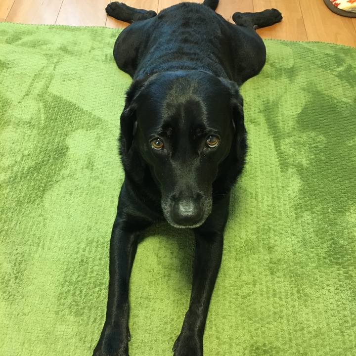 419c2e4c a184 4cb6 bdf2 5a8b94b85e9b