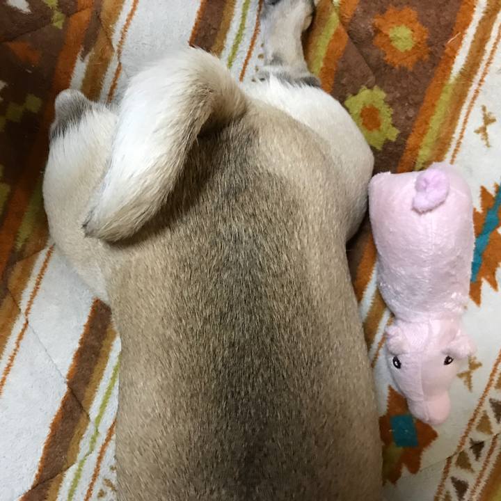 419c8255 ca39 4e0b af21 cba3159ab52b