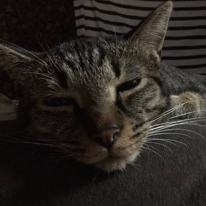 419cd3ce a66c 4b66 af27 36e13b00c8de