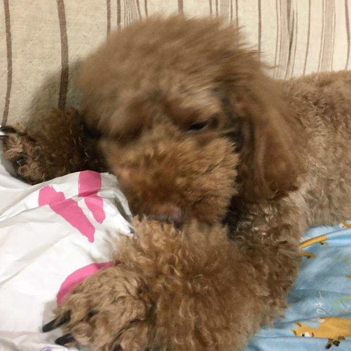 419cf4eb 6356 407f 819c 63eb52add111