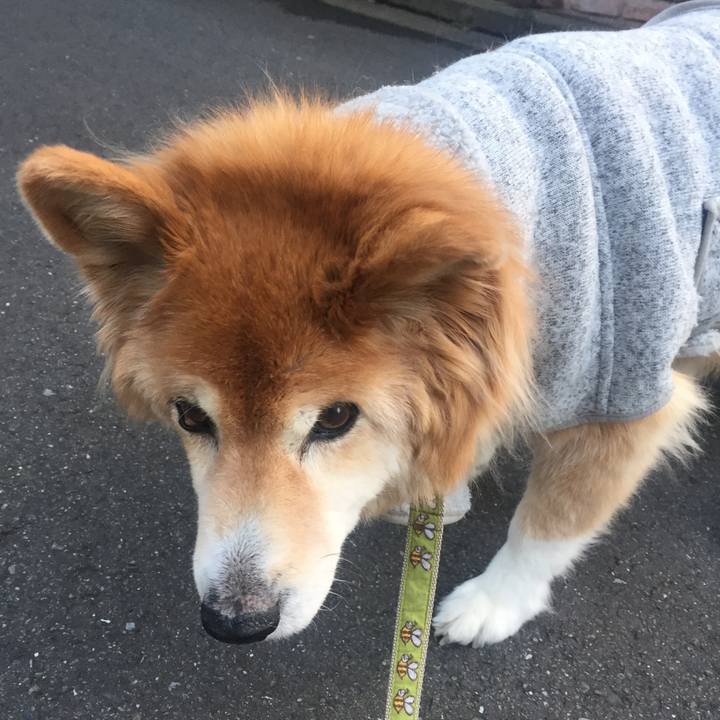 419d044e 708d 4f9f 8962 232b7b484628