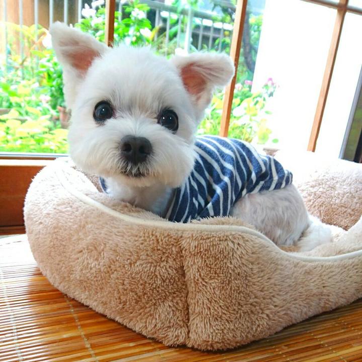 419d985f e1f2 4e62 a52a 4c69da84fada