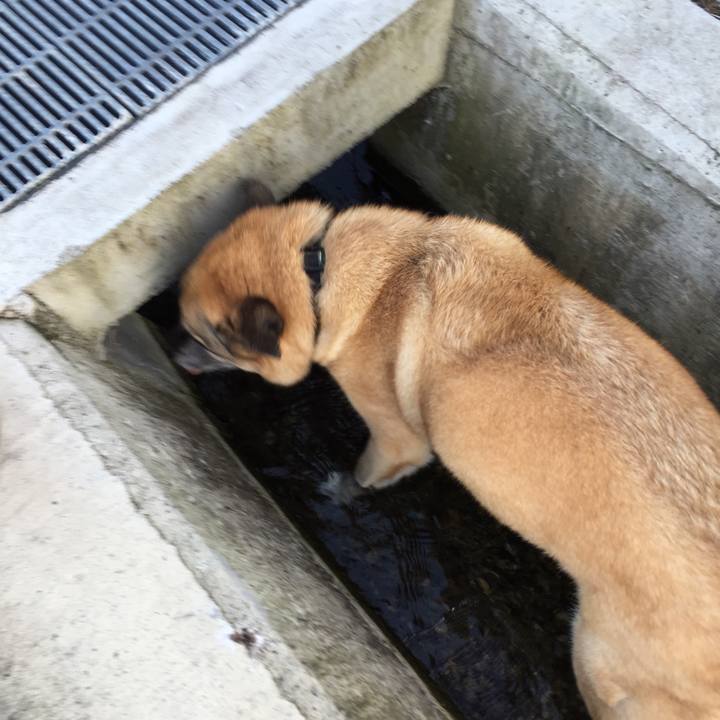 419dc872 4046 4708 8888 8dc7732953f0