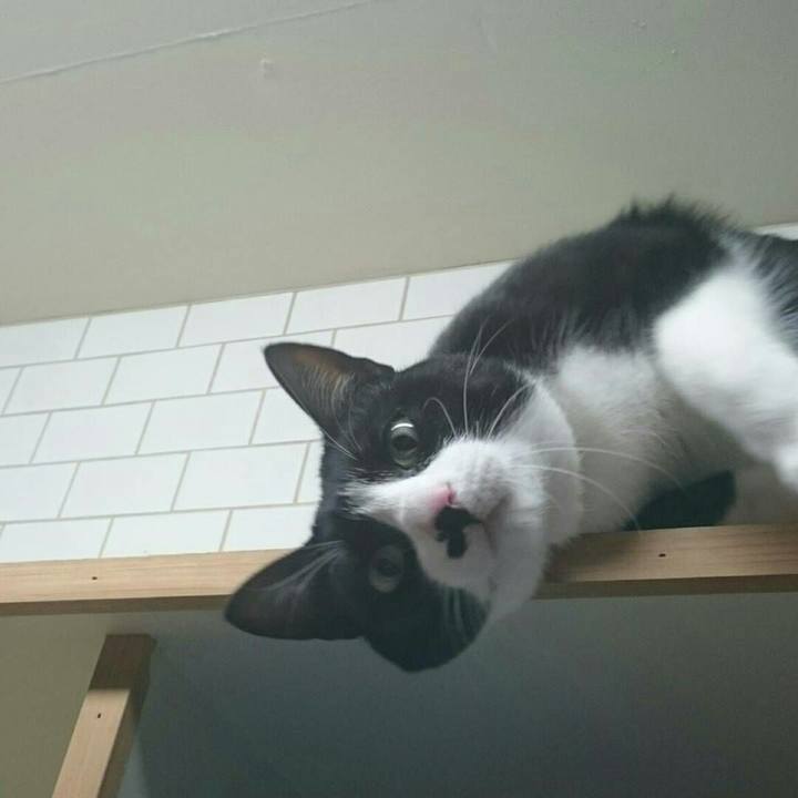 419e1635 222f 4bb8 b72c 6a337d9d279a