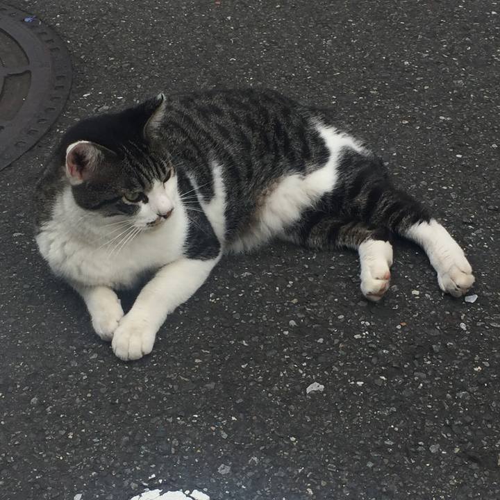 419e1ac0 5f8b 4d1f 9f10 5e3cedd9342e