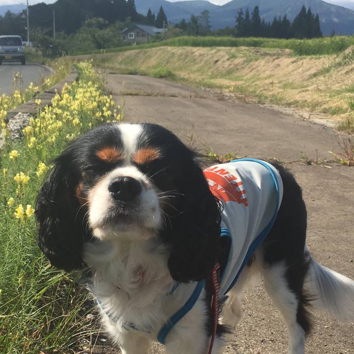 419e26e6 4e40 4e8d af27 d4761961758f