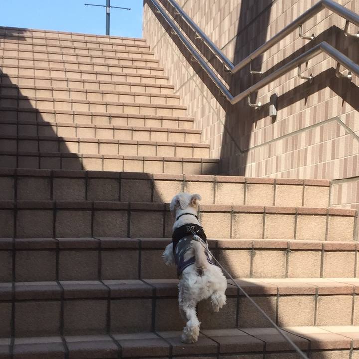 419e3990 f4ed 4514 b0c3 94cc57e99957