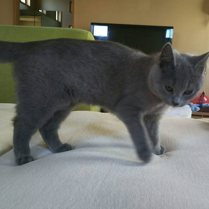 419f0d76 d675 446a 9be3 392560d64791