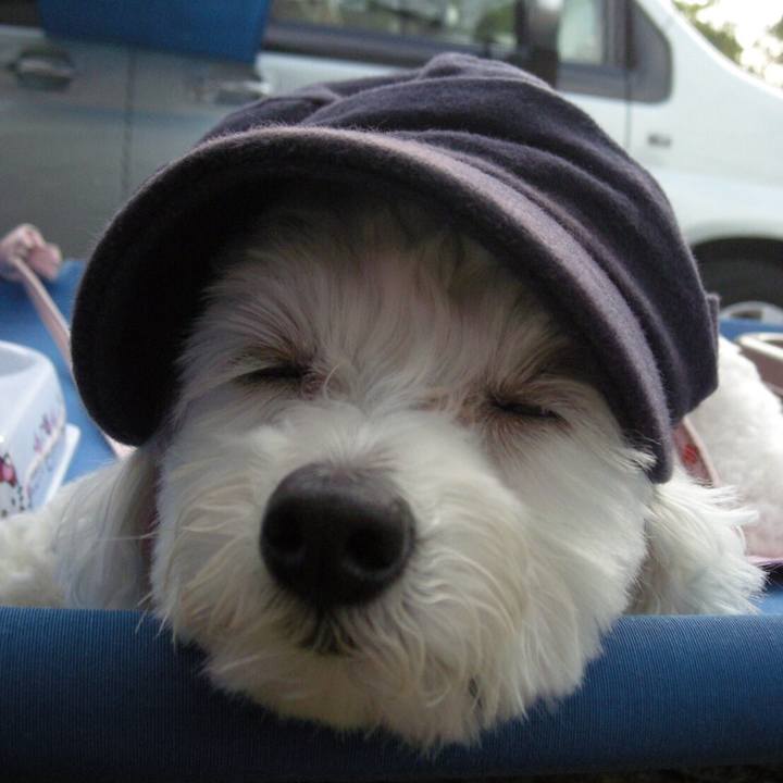 419f4ae1 b458 4045 8064 f910b4116450