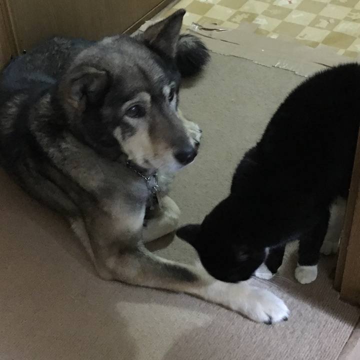 419f76d4 b75a 4cd9 aa84 189b579fd5ec