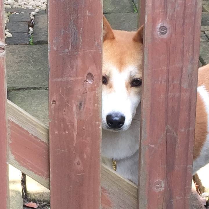 419fde10 fe04 4f45 934d bfcf20d6aea9